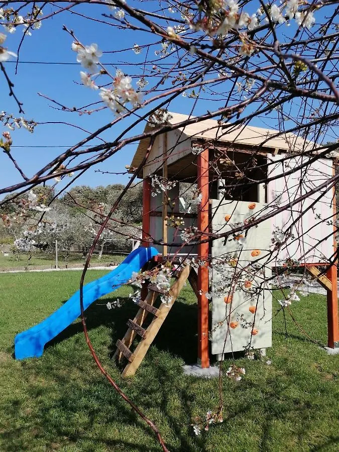 Apartment Karlić Kampor